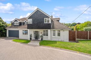 Photo 2- click for photo gallery